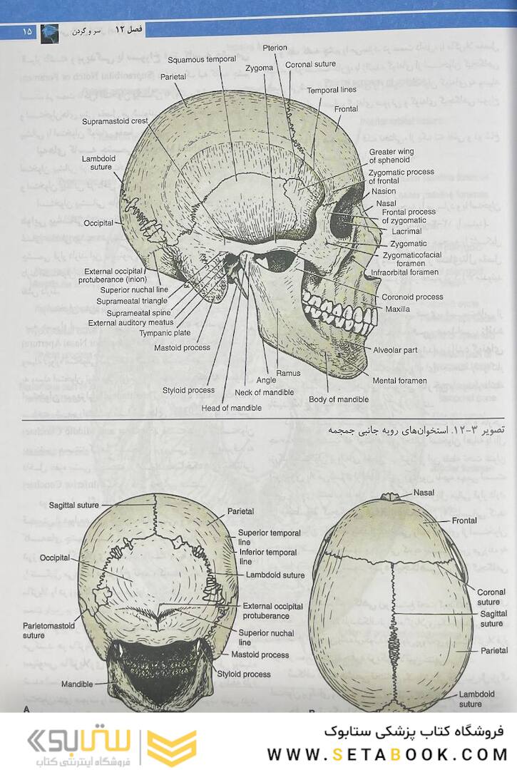 آناتومی بالینی اسنل 2019 سر و گردن جلد 3