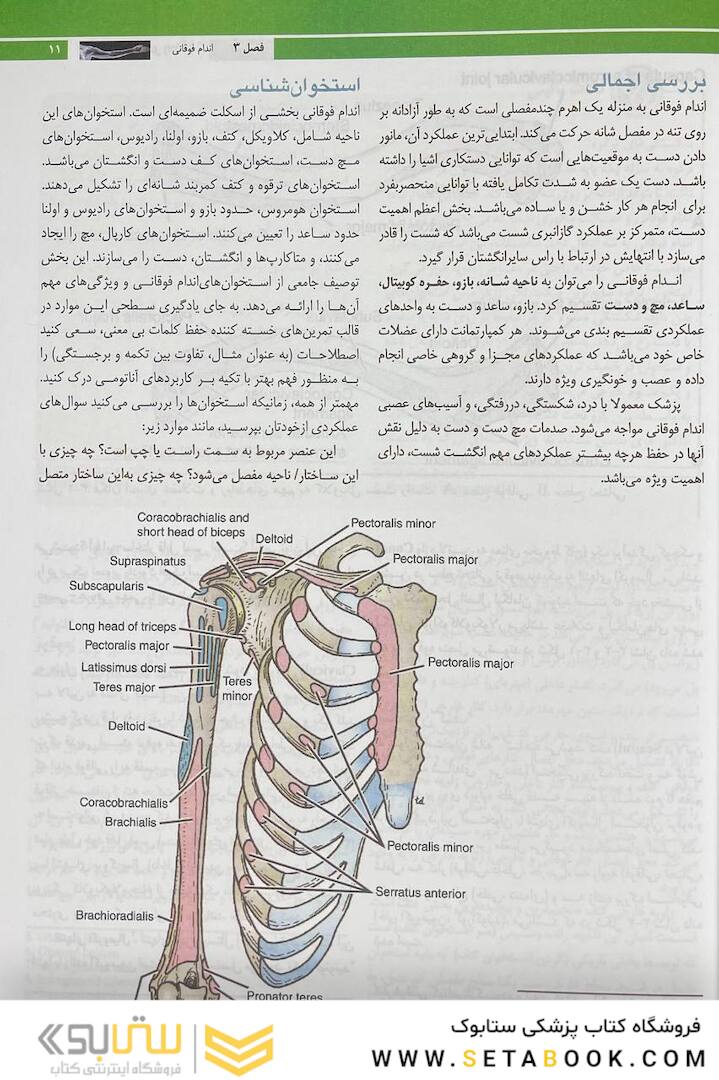 آناتومی بالینی اسنل 2019اندام جلد2