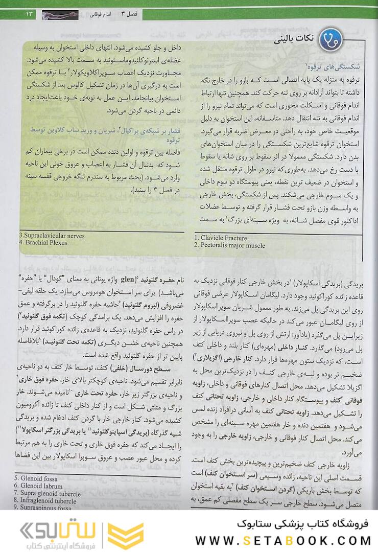 آناتومی بالینی اسنل 2019اندام جلد2