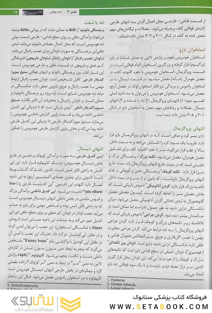 آناتومی بالینی اسنل 2019اندام جلد2