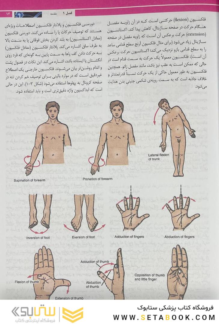 آناتومی بالینی اسنل 2019 تنه جلد1
