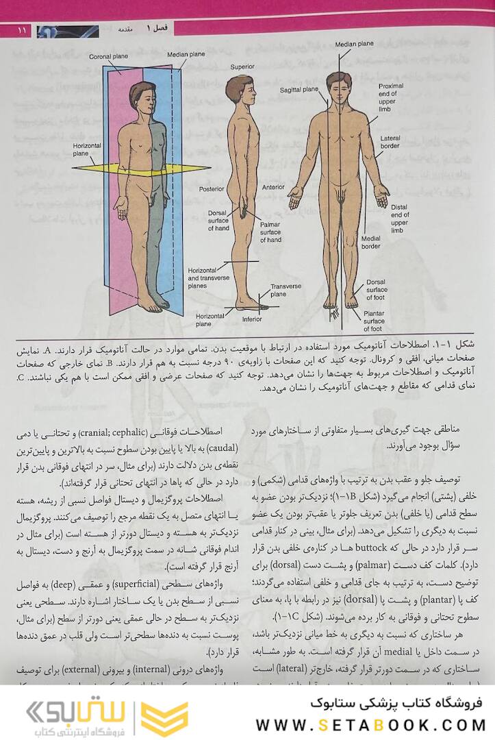 آناتومی بالینی اسنل 2019 تنه جلد1