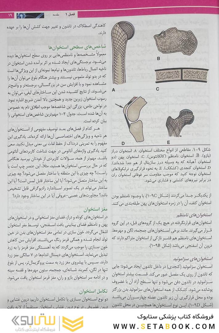 آناتومی بالینی اسنل 2019 تنه جلد1