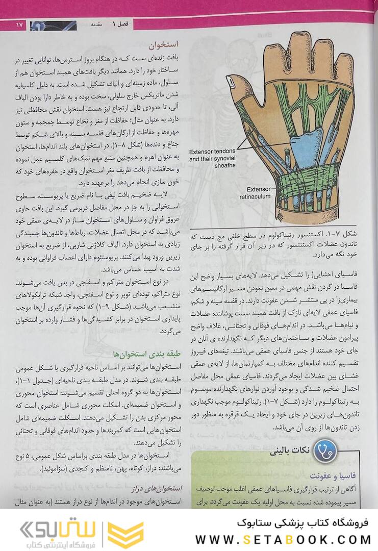 آناتومی بالینی اسنل 2019 تنه جلد1