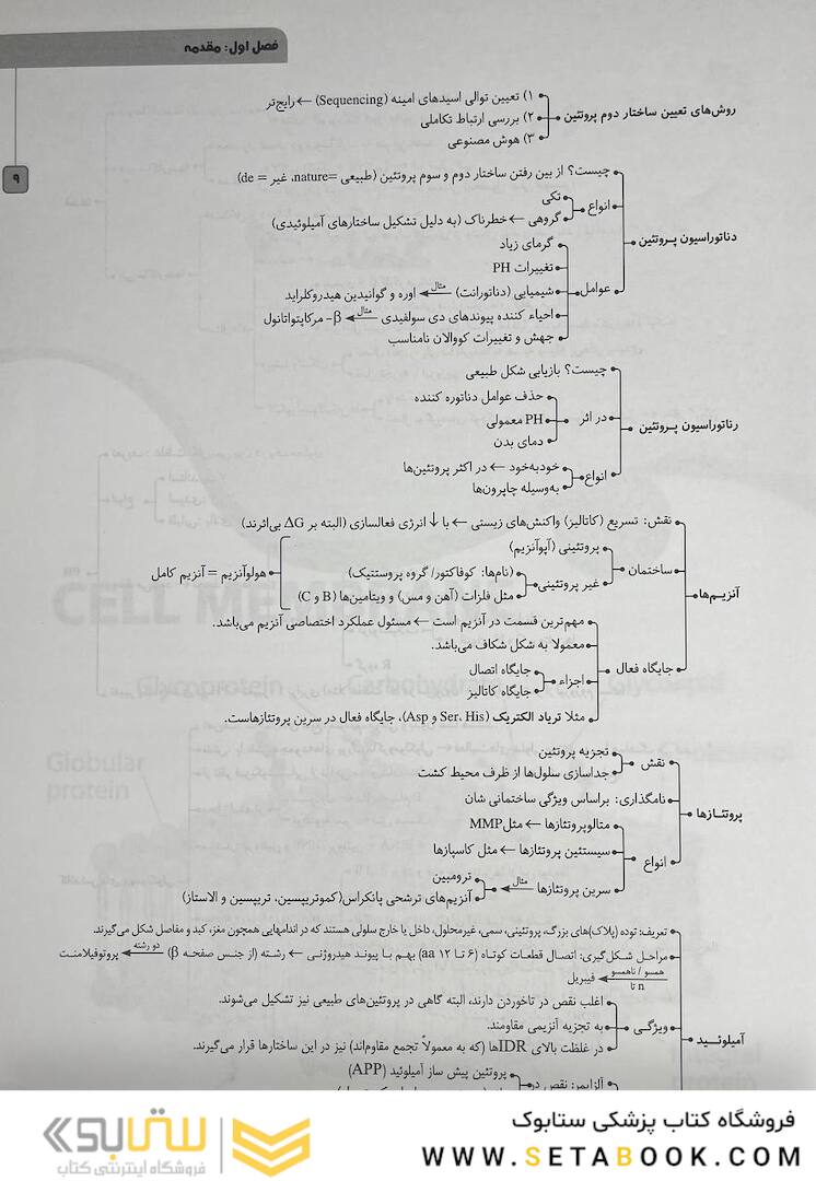 چکیده نکات سلولی و مولکولی عرب