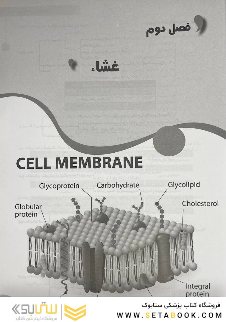 چکیده نکات سلولی و مولکولی عرب