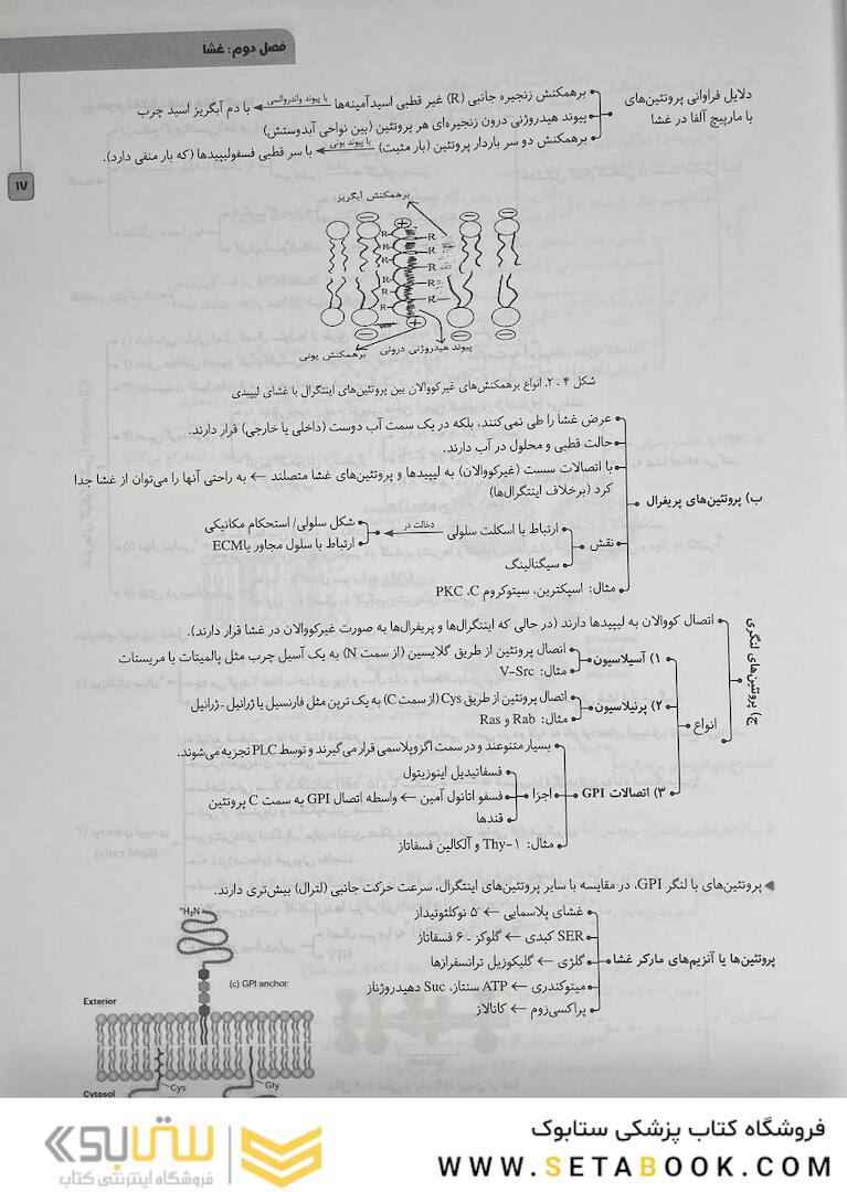 چکیده نکات سلولی و مولکولی عرب
