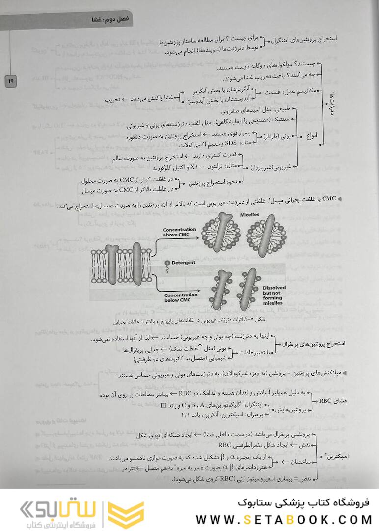 چکیده نکات سلولی و مولکولی عرب