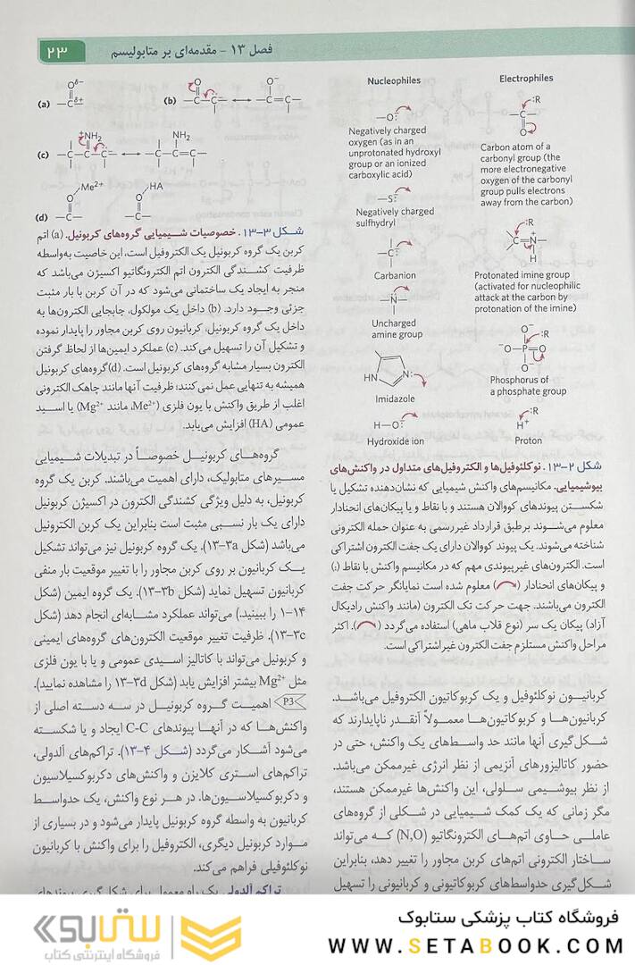 اصول بیوشیمی لنینجر 2021 جلد دوم