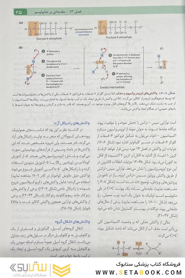 اصول بیوشیمی لنینجر 2021 جلد دوم