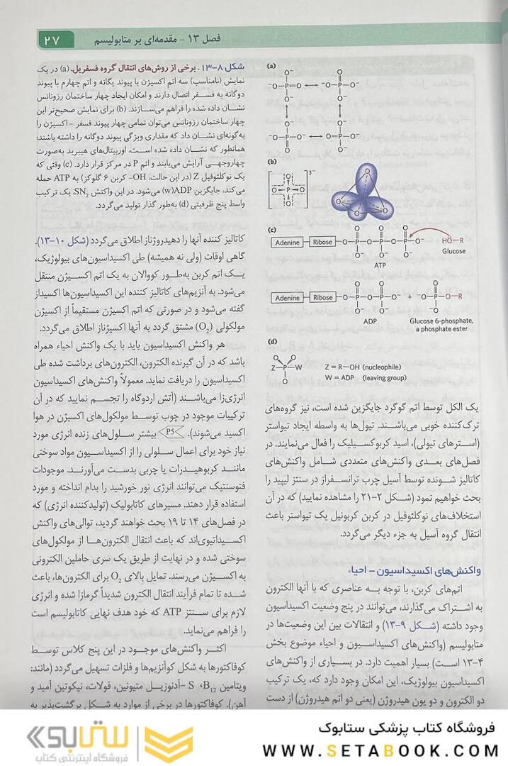 اصول بیوشیمی لنینجر 2021 جلد دوم
