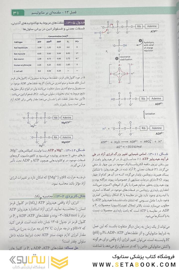 اصول بیوشیمی لنینجر 2021 جلد دوم