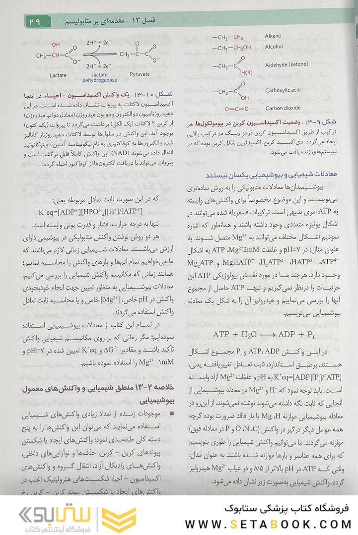 اصول بیوشیمی لنینجر 2021 جلد دوم