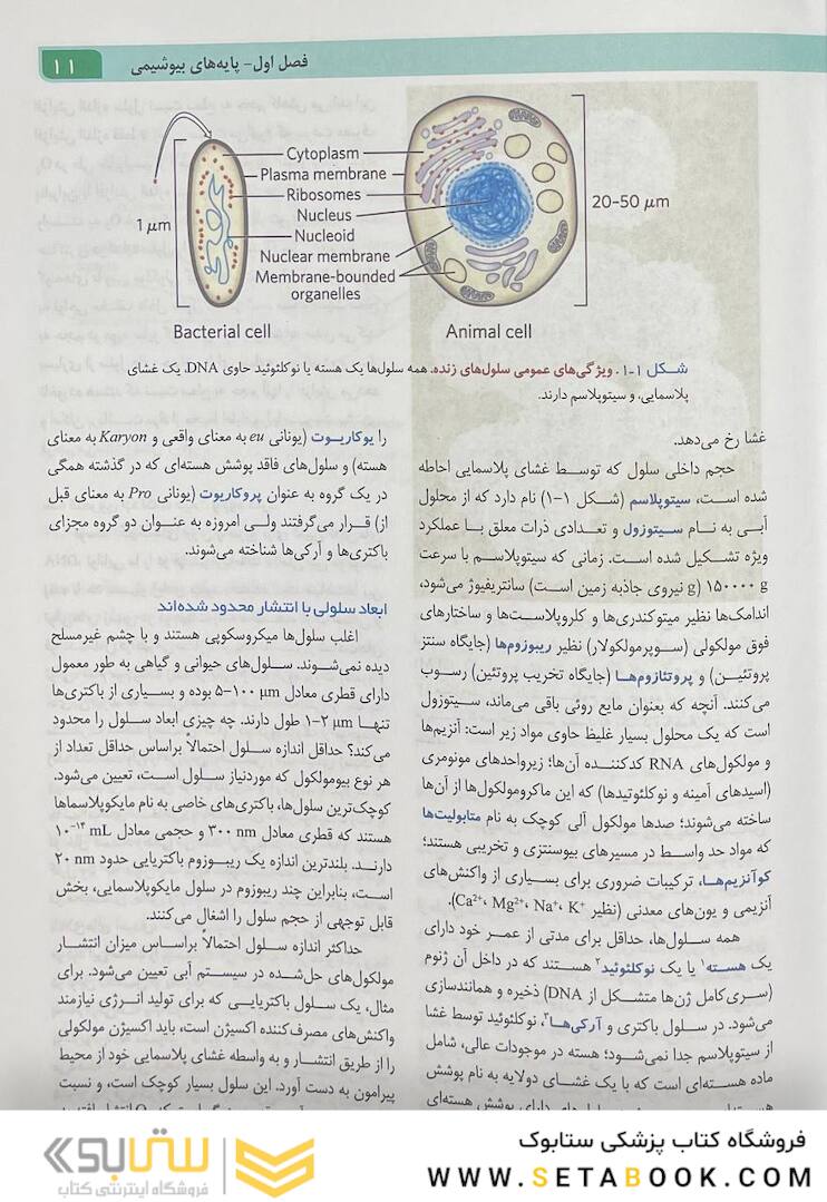 اصول بیوشیمی لنینجر 2021 ویرایش هشتم جلد اول