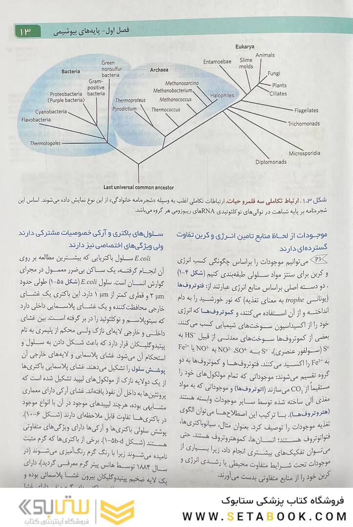 اصول بیوشیمی لنینجر 2021 ویرایش هشتم جلد اول