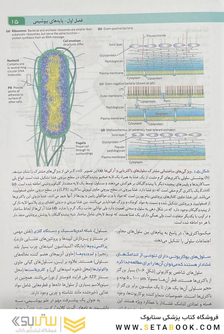 اصول بیوشیمی لنینجر 2021 ویرایش هشتم جلد اول