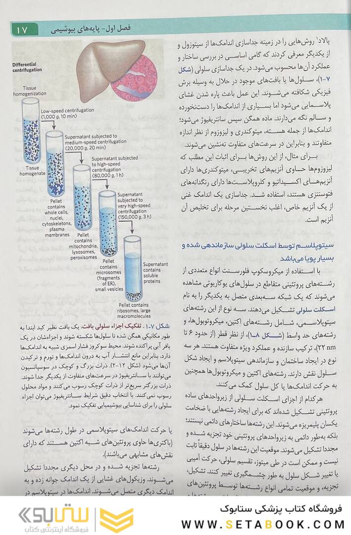 اصول بیوشیمی لنینجر 2021 ویرایش هشتم جلد اول