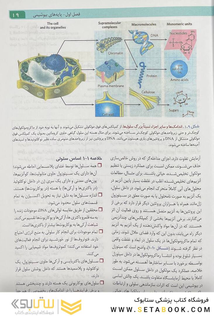 اصول بیوشیمی لنینجر 2021 ویرایش هشتم جلد اول