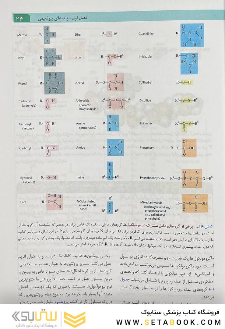 اصول بیوشیمی لنینجر 2021 ویرایش هشتم جلد اول