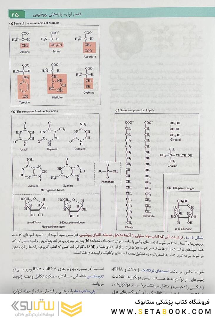 اصول بیوشیمی لنینجر 2021 ویرایش هشتم جلد اول