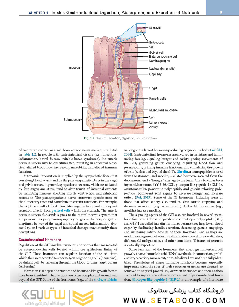 Krause and Mahan’s Food - the Nutrition Care Process, 15th Edition