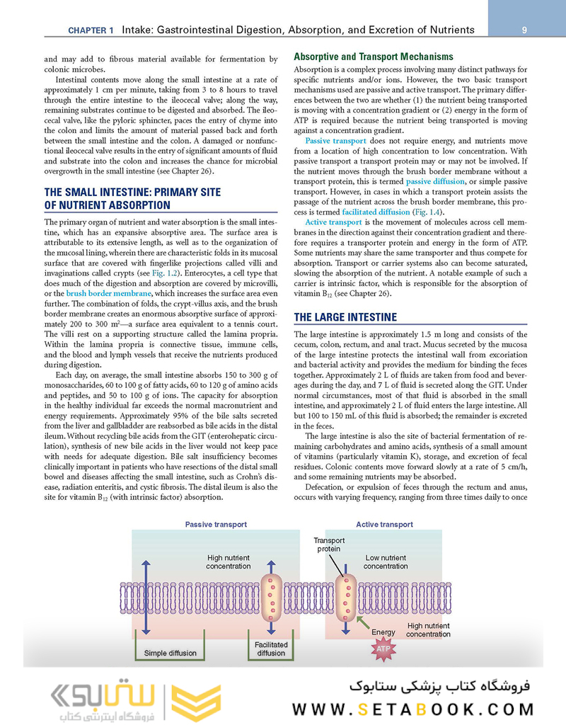 Krause and Mahan’s Food - the Nutrition Care Process, 15th Edition