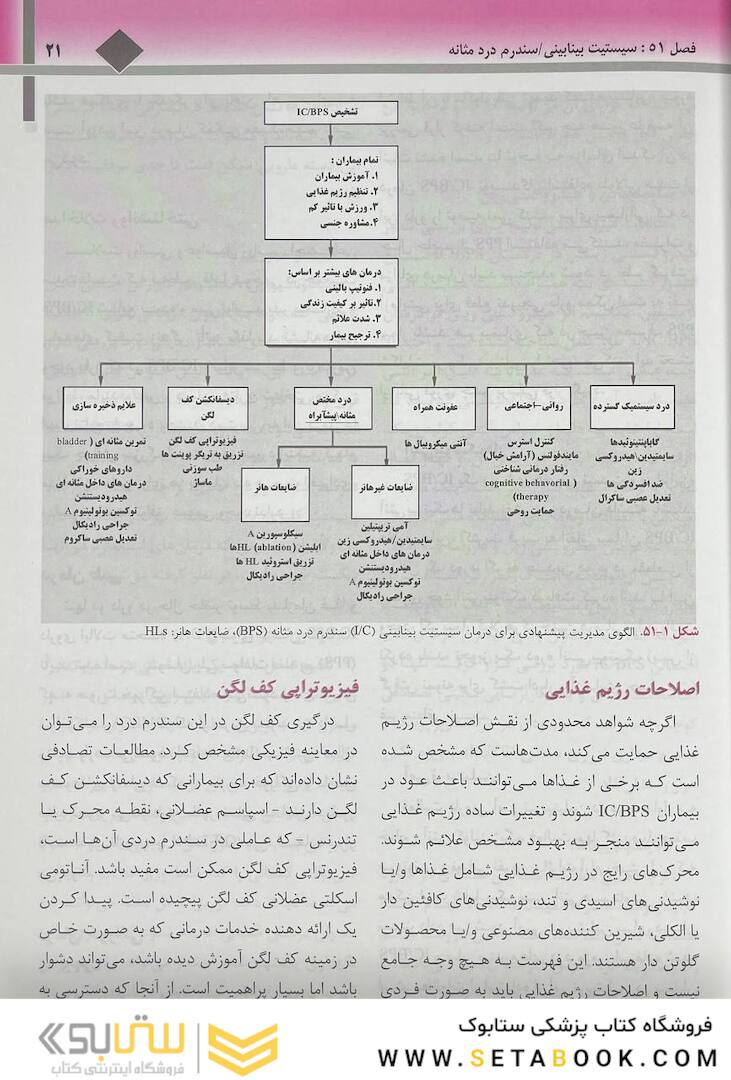 ترجمه کامل هاریسون 2022 بیماری  های کلیه
