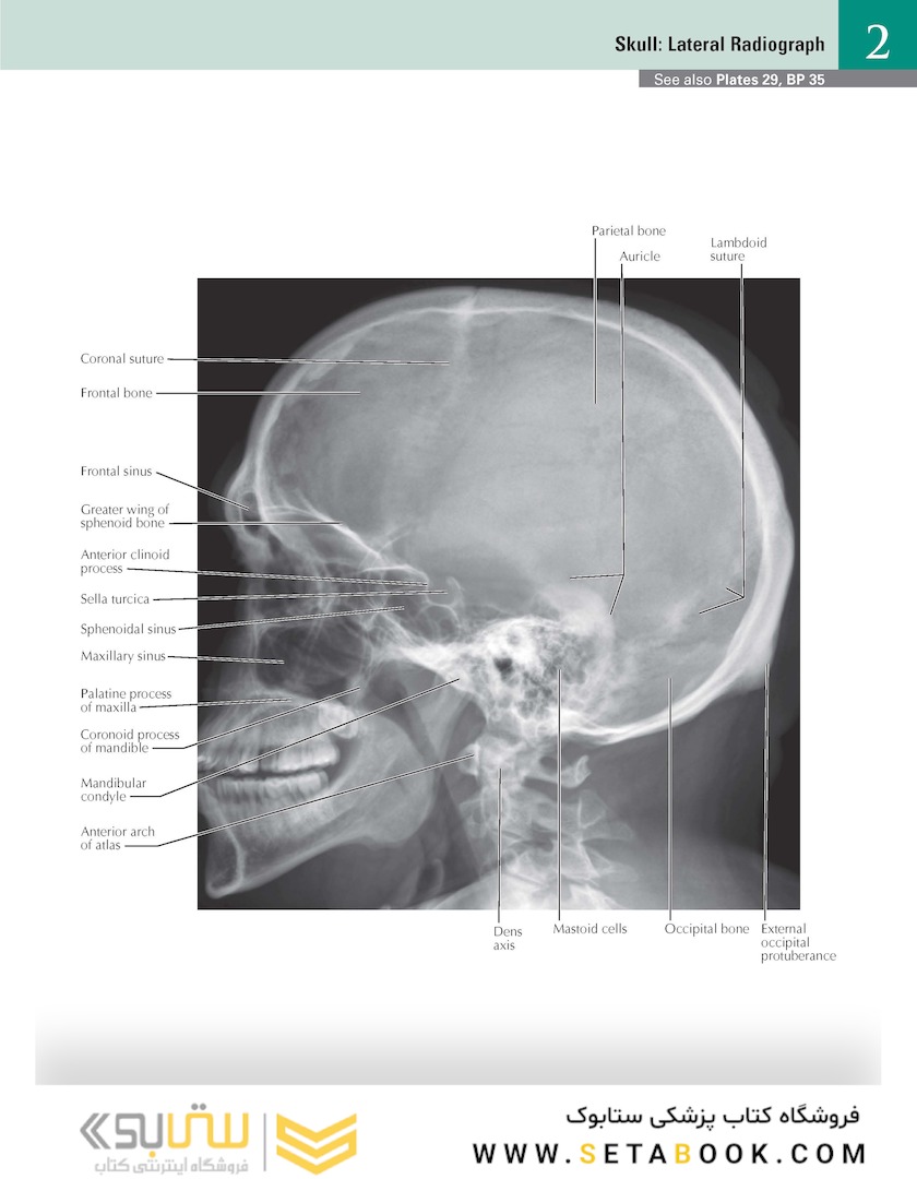 Netter Atlas of HUMAN ANATOMY 8e + Appendix (اپندکس - تحریر )
