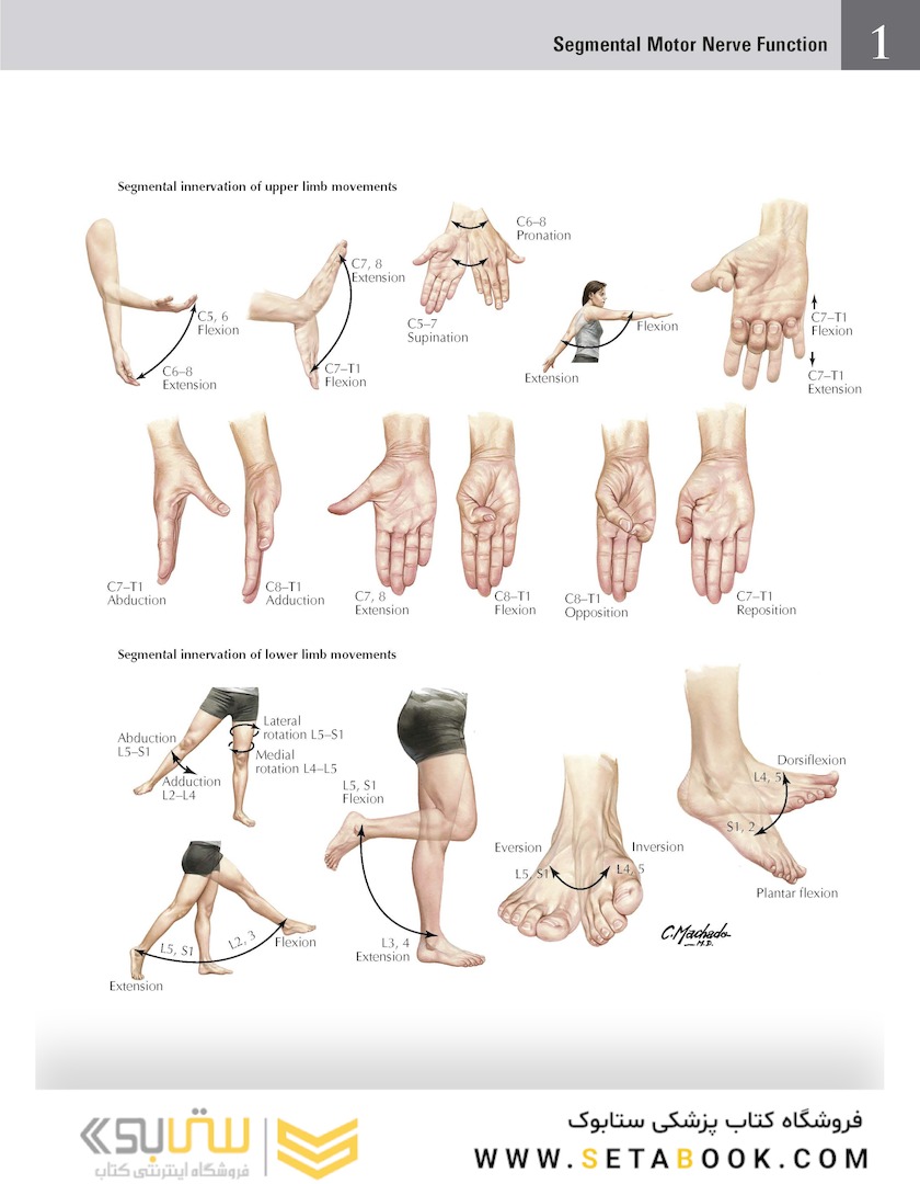 Netter Atlas of HUMAN ANATOMY 8e 2023 (گلاسه)