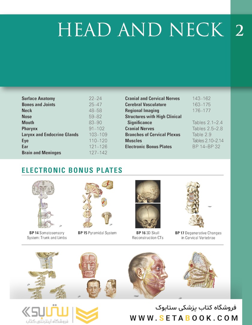 Netter Atlas of HUMAN ANATOMY 8e 2023 (گلاسه)