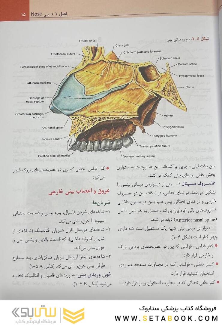 دستگاه تنفس (آناتومی، بافت، جنین، فیزیولوژی)