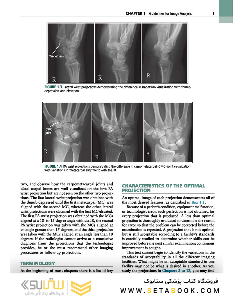 Radiographic Image Analysis