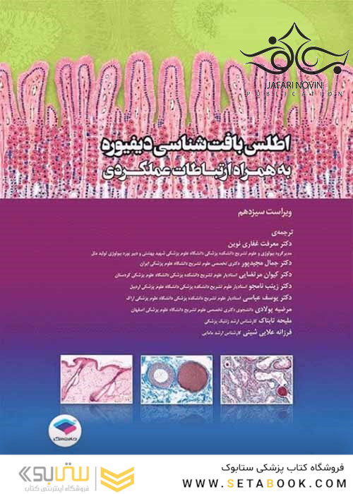 اطلس بافت شناسی دیفیوره به همراه ارتباطات عملکردی