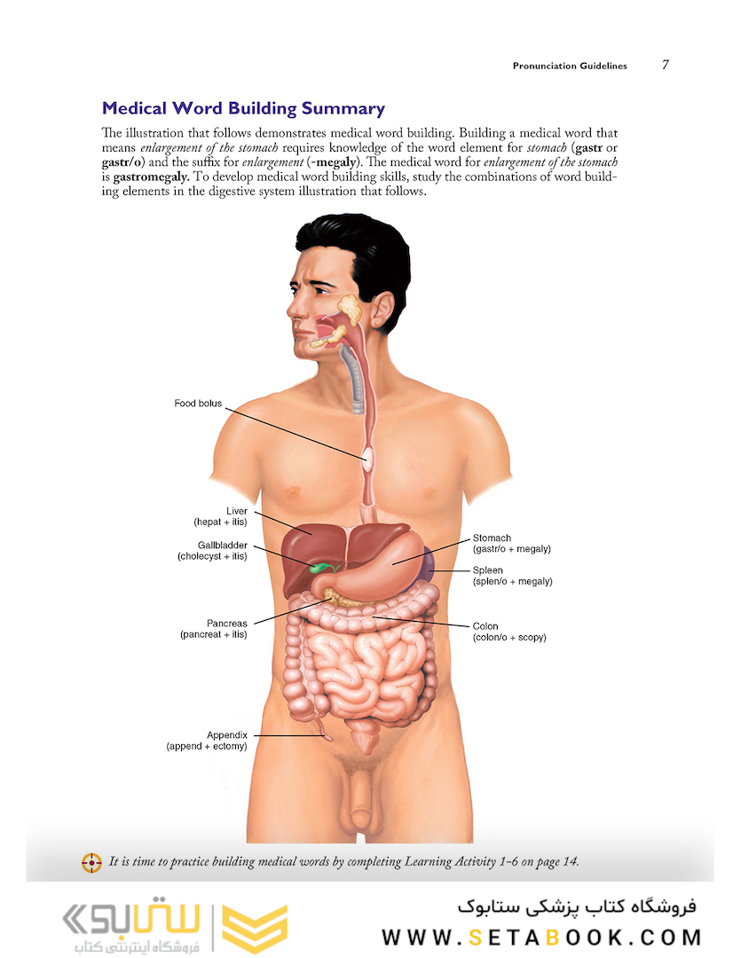 Medical Terminology Systems, 8e