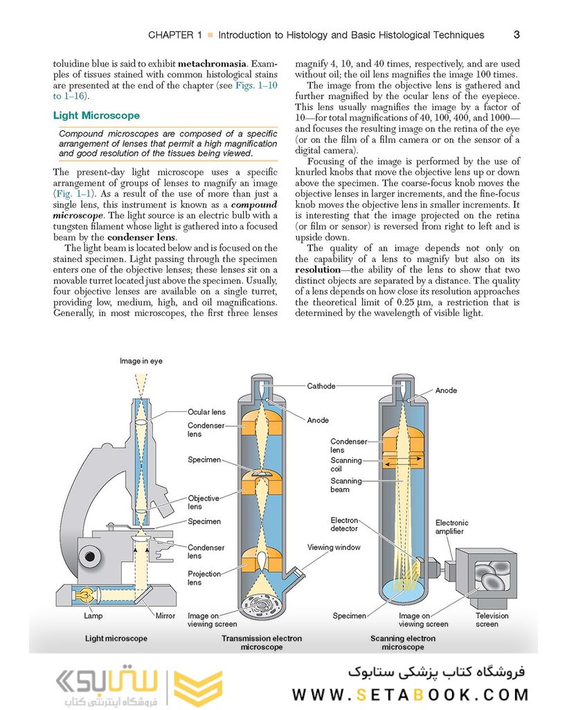 Textbook of Histology 4th Edition2016