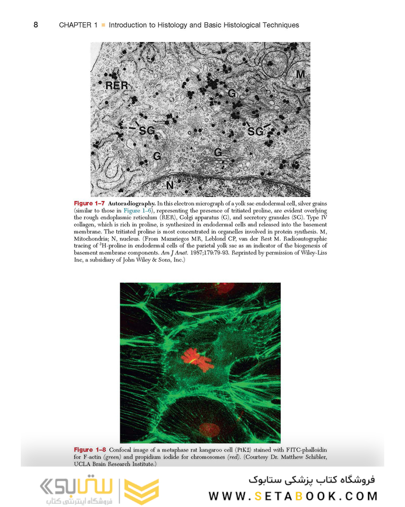 Textbook of Histology 4th Edition2016