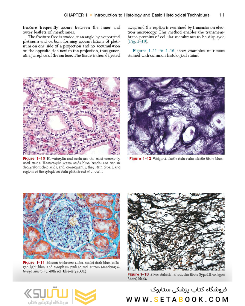 Textbook of Histology 4th Edition2016