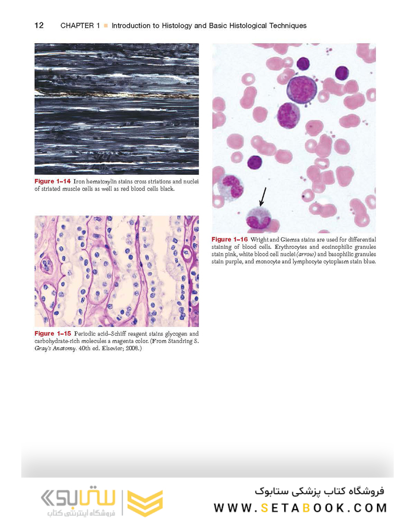 Textbook of Histology 4th Edition2016