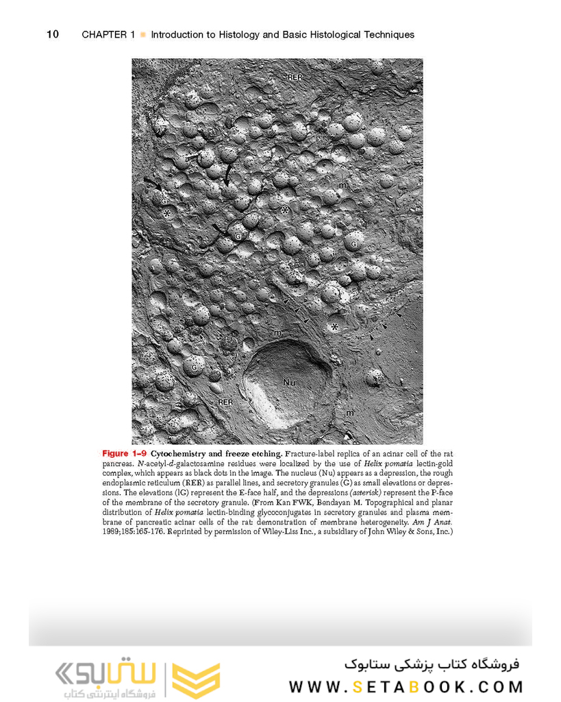 Textbook of Histology 4th Edition2016