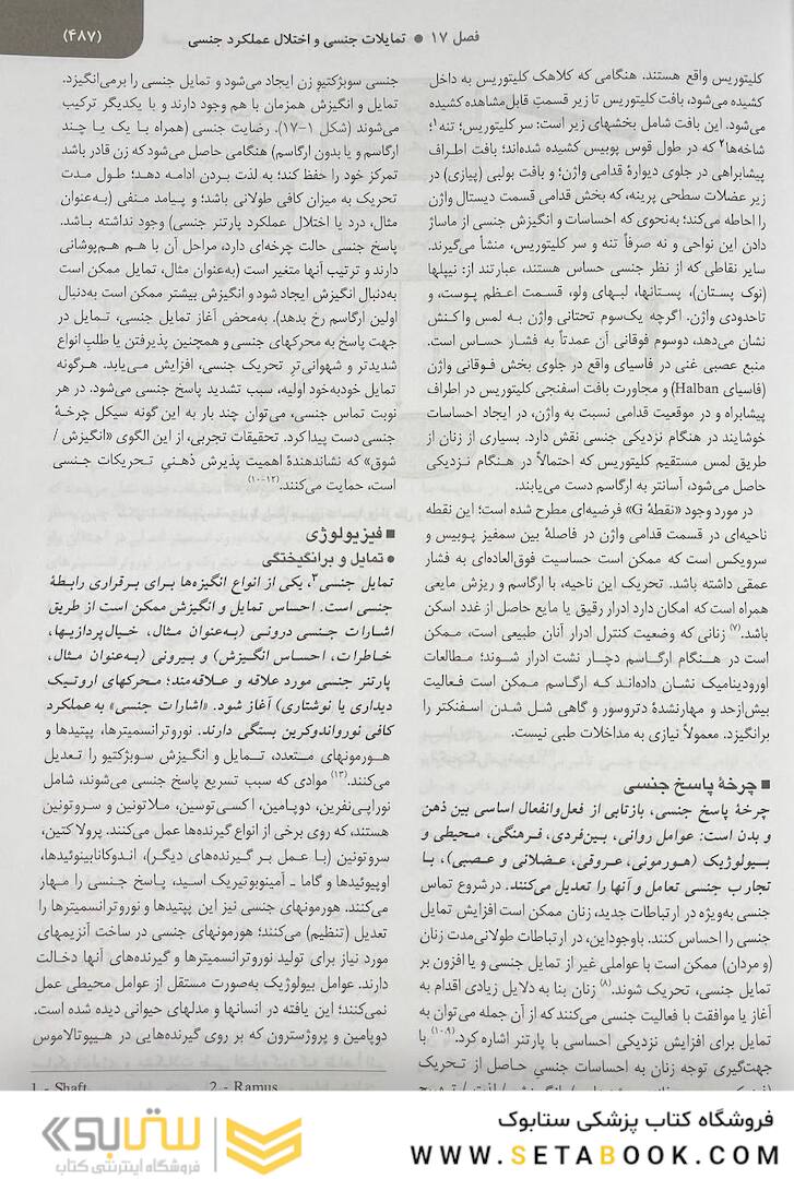 بیماری های زنان 2020 برک و نواک جلد دوم سیاه و سفید