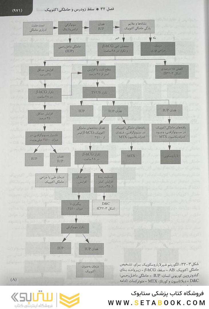 بیماری های زنان 2020 برک و نواک جلد سوم سیاه و سفید