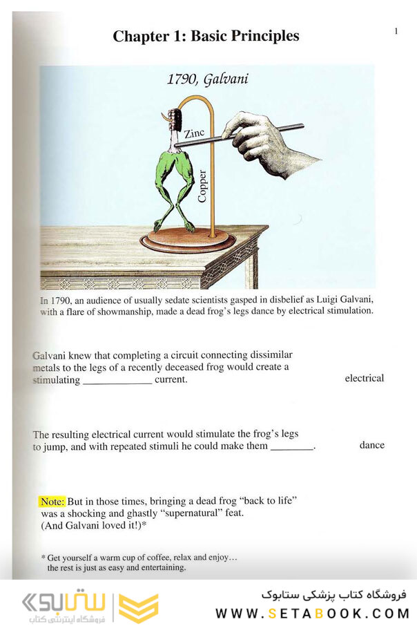 EKG Rapid Interpretation of EKG