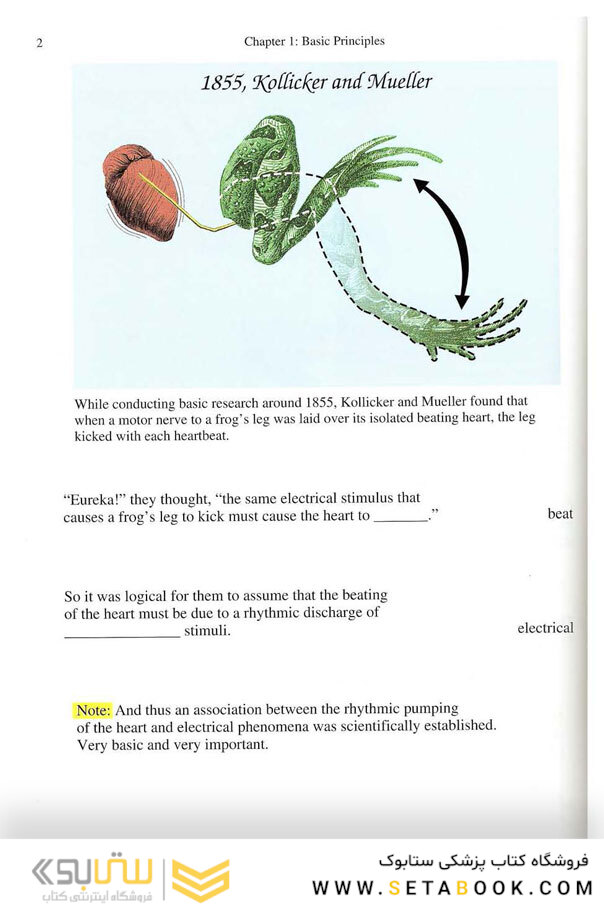 EKG Rapid Interpretation of EKG