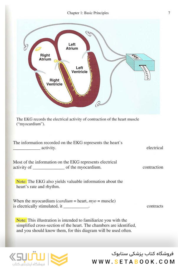 EKG Rapid Interpretation of EKG