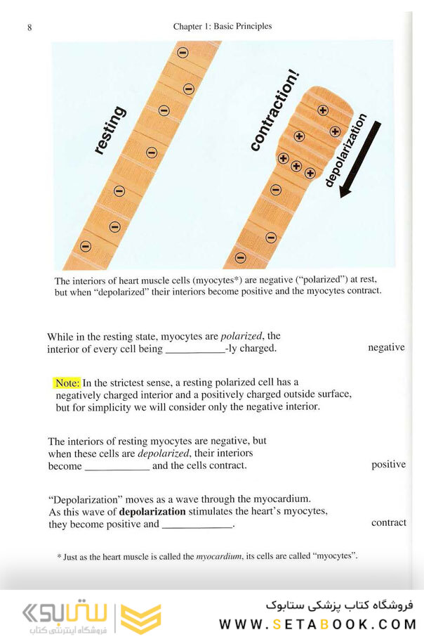 EKG Rapid Interpretation of EKG