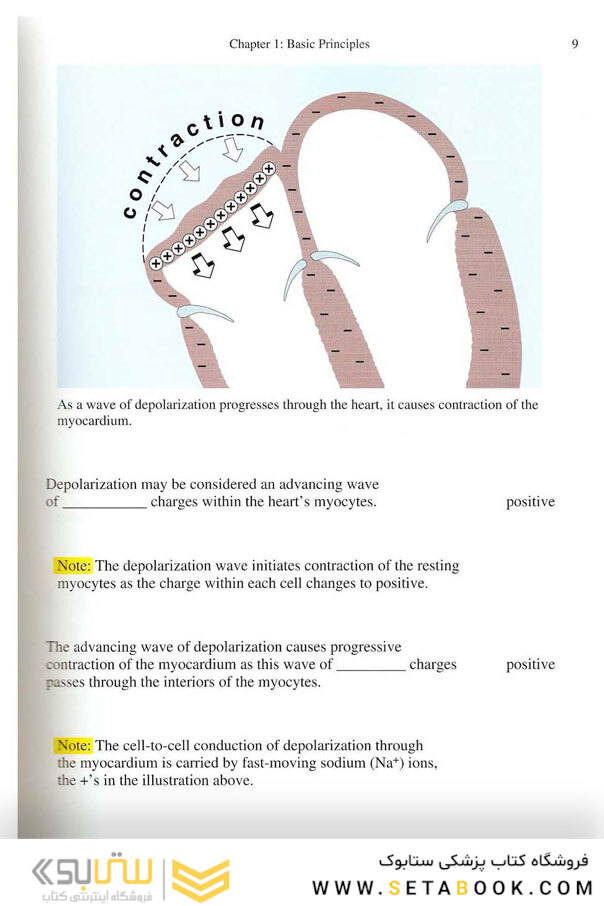 EKG Rapid Interpretation of EKG