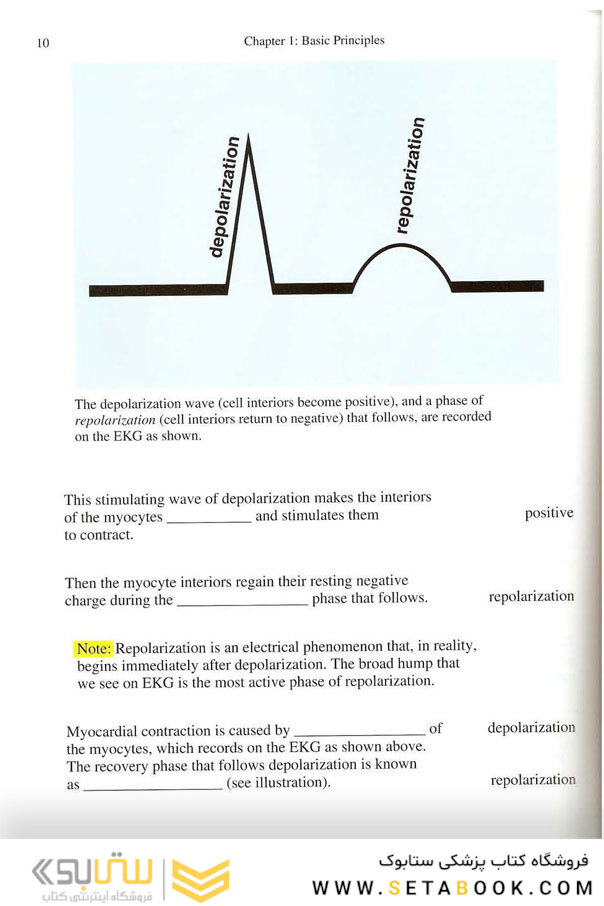 EKG Rapid Interpretation of EKG