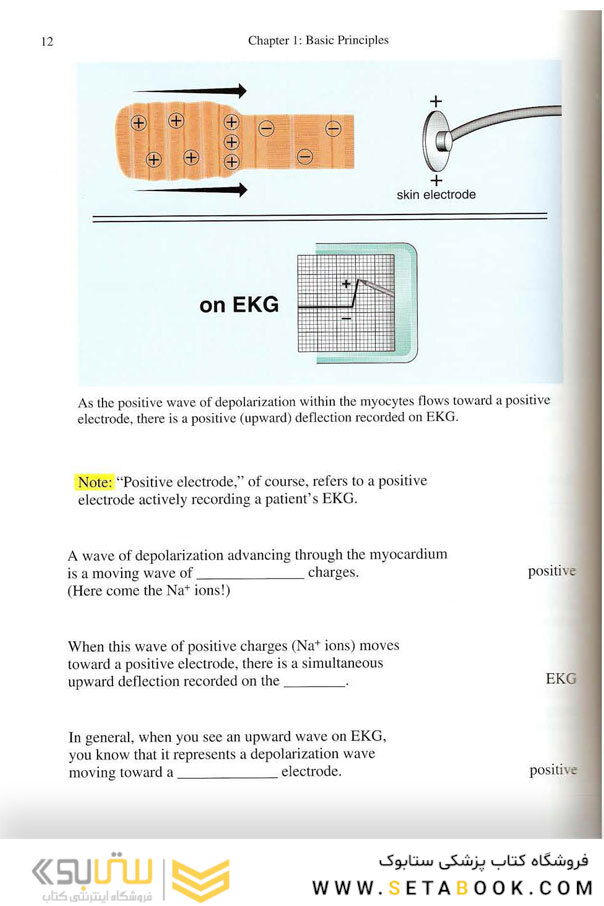 EKG Rapid Interpretation of EKG