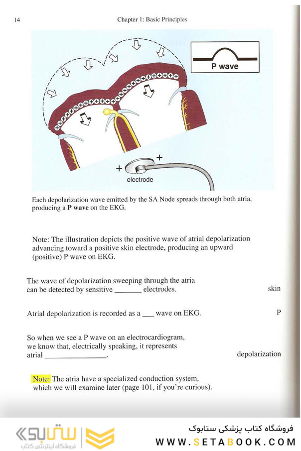 EKG Rapid Interpretation of EKG