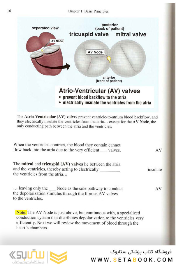 EKG Rapid Interpretation of EKG